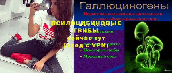 стаф Строитель